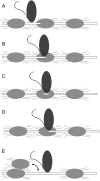 Fig. 6.
