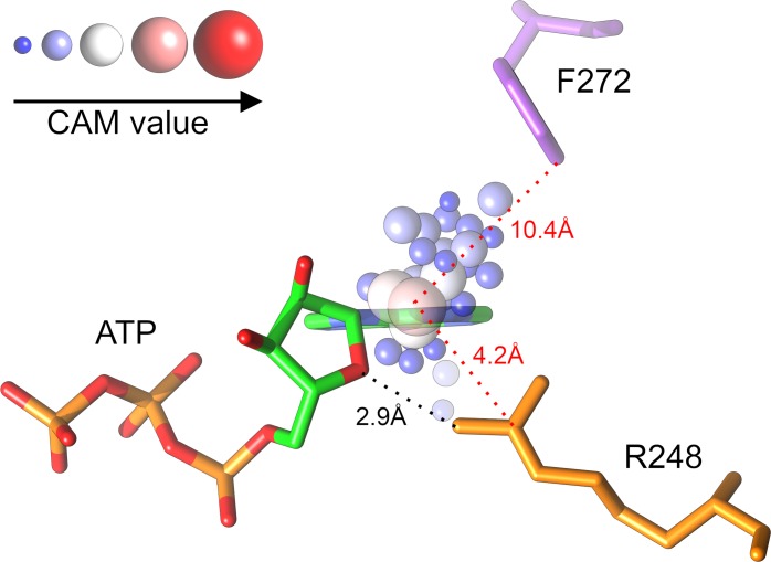 Fig 3