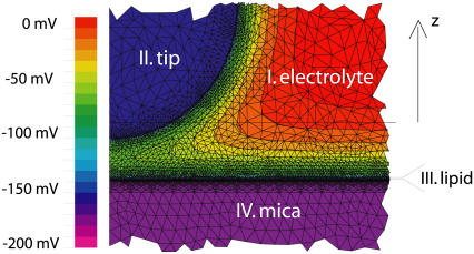 FIGURE 4