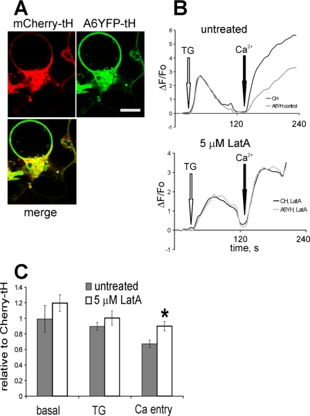 FIGURE 10.