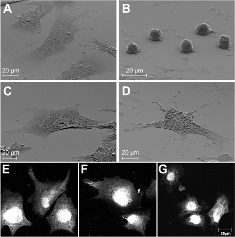 FIGURE 10.