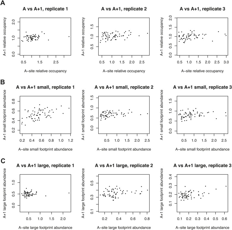 Figure 5—figure supplement 1.