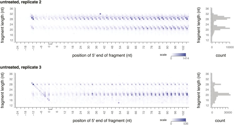 Figure 2—figure supplement 1.