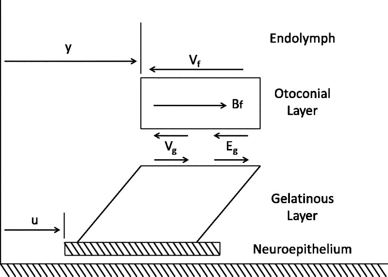 FIG. 8