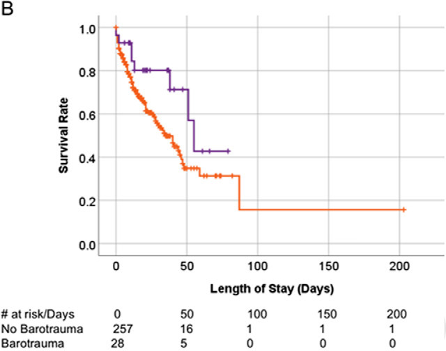 Kaplan-Meier survival curves. (A) Overall survival of patients with COVID-19 infection on invasive mechanical ventilation. Patients with and without barotrauma represented by red and blue curves respectively, with no difference in overall survival (p>.05). (B) Overall survival of historical ARDS invasive mechanically ventilated patients. Patients with and without barotrauma represented by purple and orange curves respectively, with no difference in overall survival (p>.05). (C) Overall survival of patients without COVID-19 infection on invasive mechanical ventilation. Patients with and without barotrauma represented by green and black curves respectively, with longer survival for patients without barotrauma (p=.01). (D) Overall survival of invasive mechanically ventilated patients with barotrauma. Patients with ARDS, with and without COVID-19 infection represented by purple, red and green curves respectively, showed longer survival for patients in the ARDS group (p<.001).