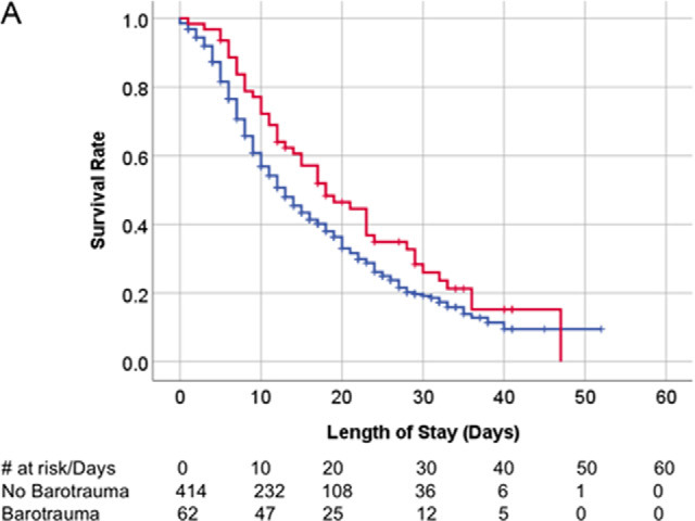 Kaplan-Meier survival curves. (A) Overall survival of patients with COVID-19 infection on invasive mechanical ventilation. Patients with and without barotrauma represented by red and blue curves respectively, with no difference in overall survival (p>.05). (B) Overall survival of historical ARDS invasive mechanically ventilated patients. Patients with and without barotrauma represented by purple and orange curves respectively, with no difference in overall survival (p>.05). (C) Overall survival of patients without COVID-19 infection on invasive mechanical ventilation. Patients with and without barotrauma represented by green and black curves respectively, with longer survival for patients without barotrauma (p=.01). (D) Overall survival of invasive mechanically ventilated patients with barotrauma. Patients with ARDS, with and without COVID-19 infection represented by purple, red and green curves respectively, showed longer survival for patients in the ARDS group (p<.001).