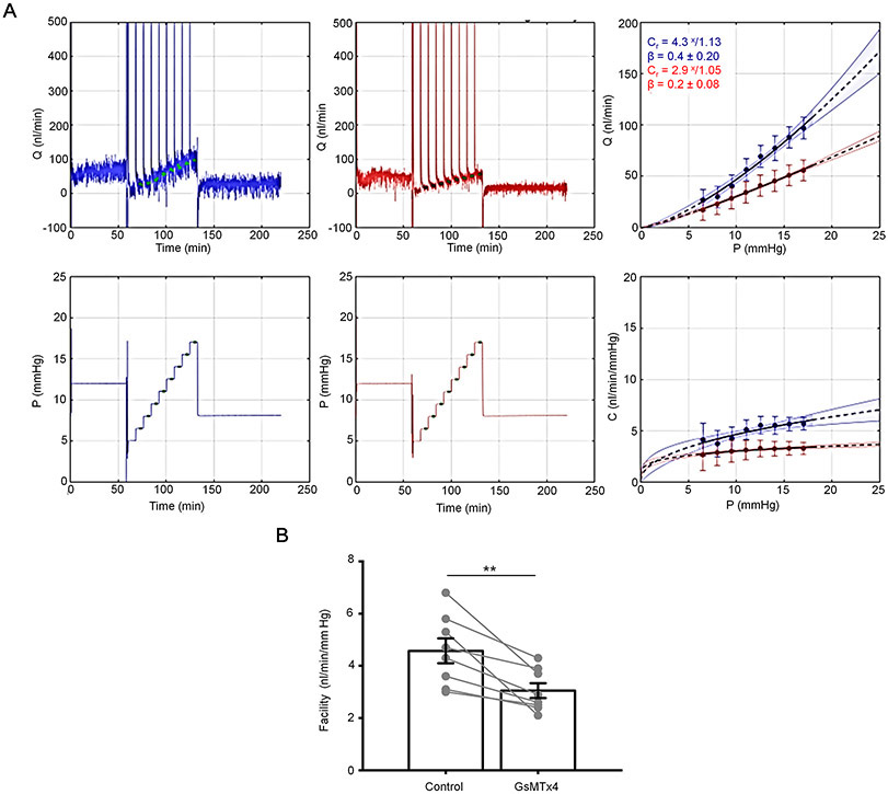 Figure 13.