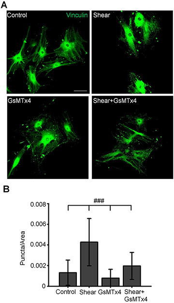 Figure 12.