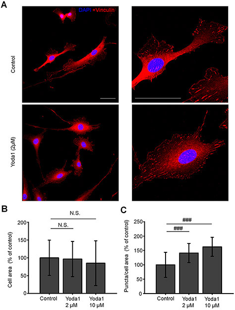 Figure 11.