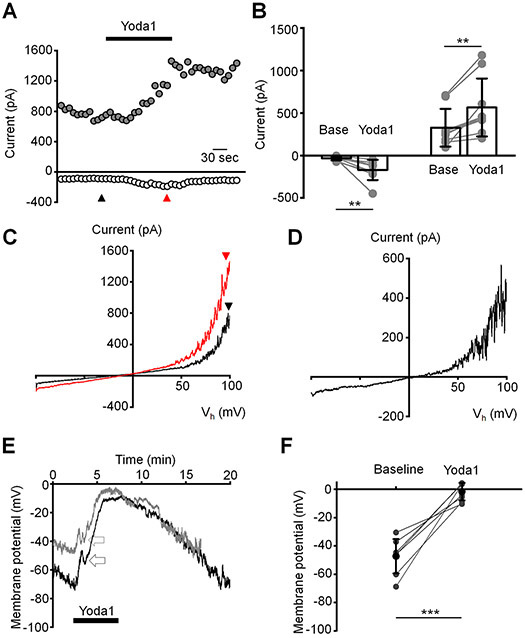 Figure 7.