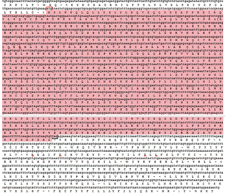 Figure 5