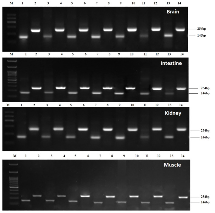 Figure 2