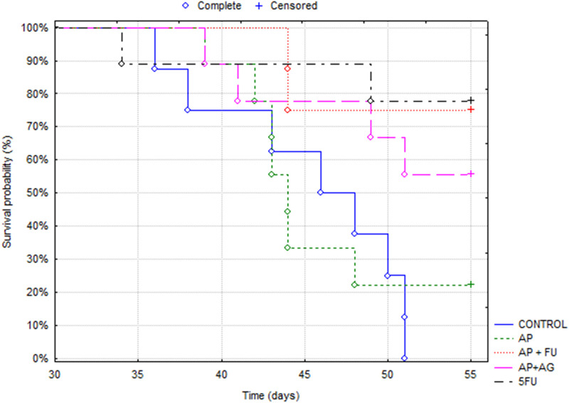 FIGURE 1