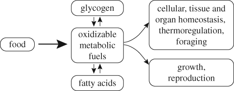 Figure 1.