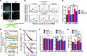 Figure 2