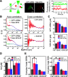 Figure 3