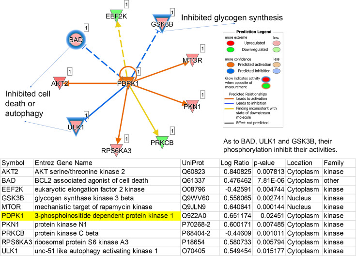 Figure 1—figure supplement 2.