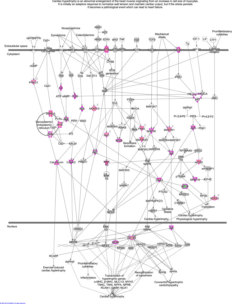 Figure 1—figure supplement 1.