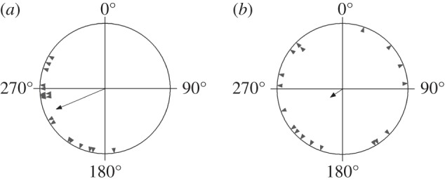 Figure 2.