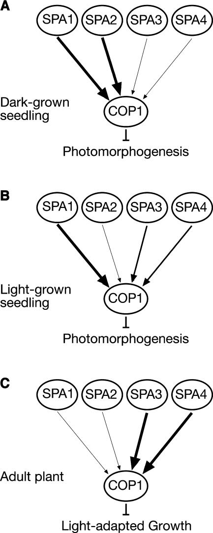 Figure 9.