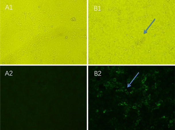 Fig. 2