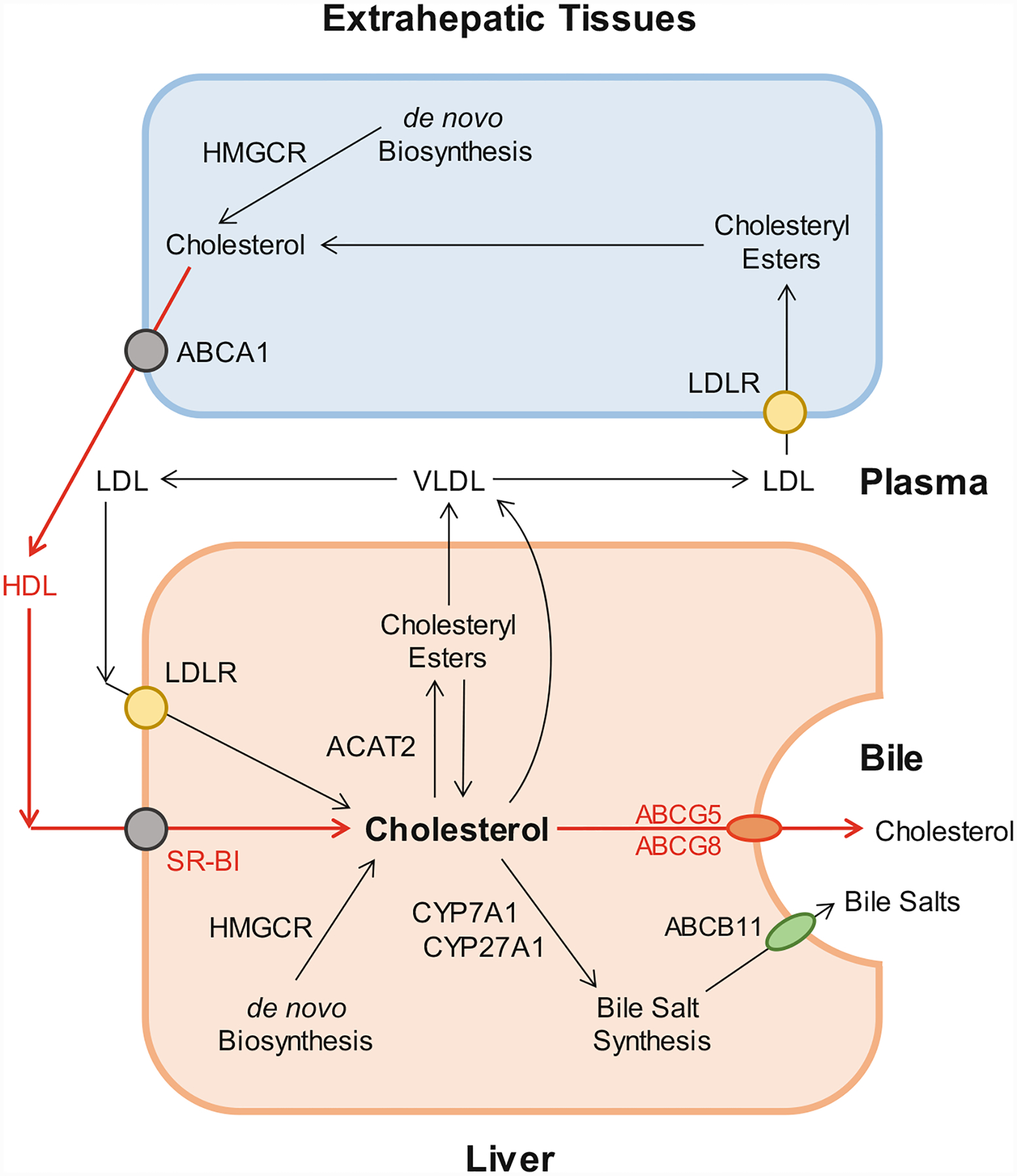 Fig. 8.4