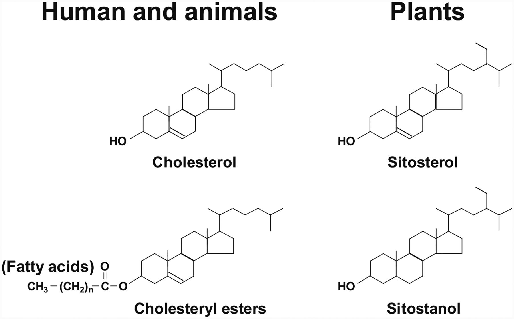 Fig. 8.1