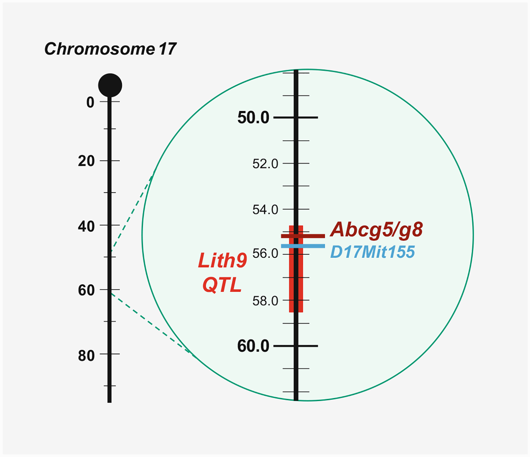 Fig. 8.6