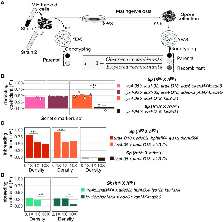 Figure 1—figure supplement 2.