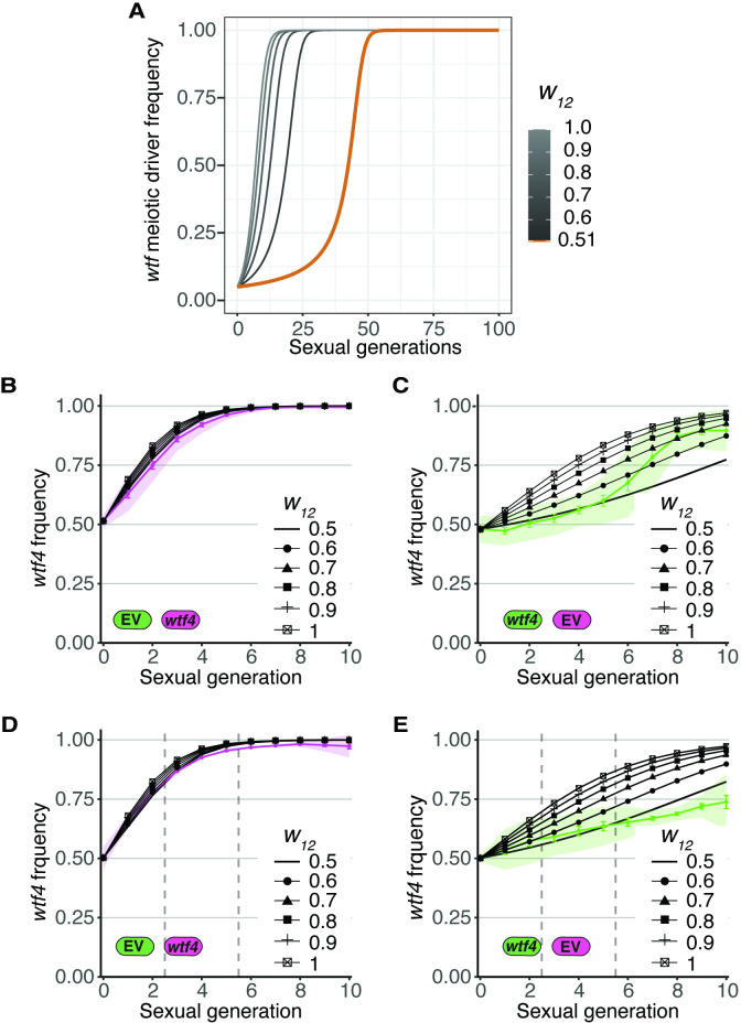 Figure 5—figure supplement 2.