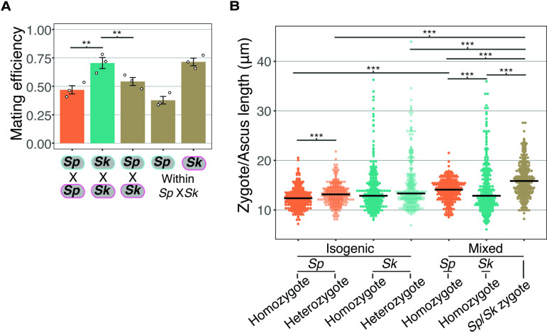 Figure 2—figure supplement 4.