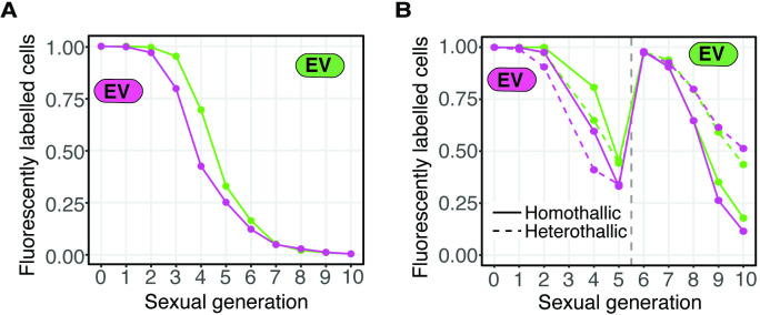 Figure 4—figure supplement 1.