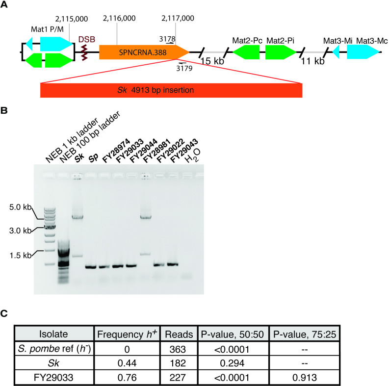 Figure 2—figure supplement 2.