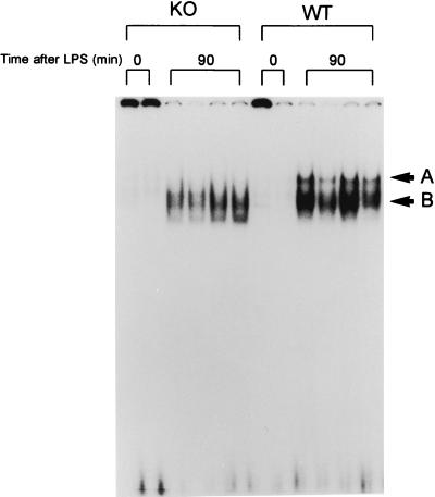 FIG. 1