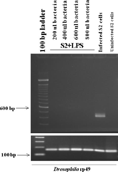 FIG. 7.