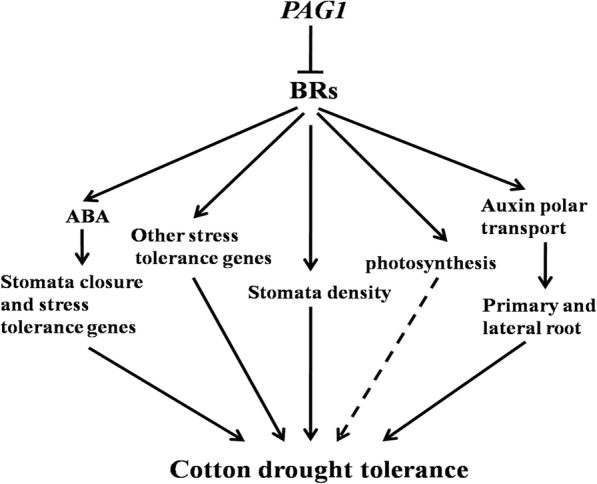 Fig. 7