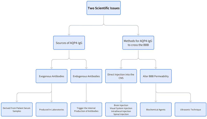 Figure 1