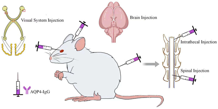 Figure 2