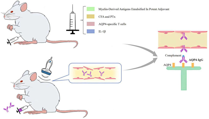 Figure 3