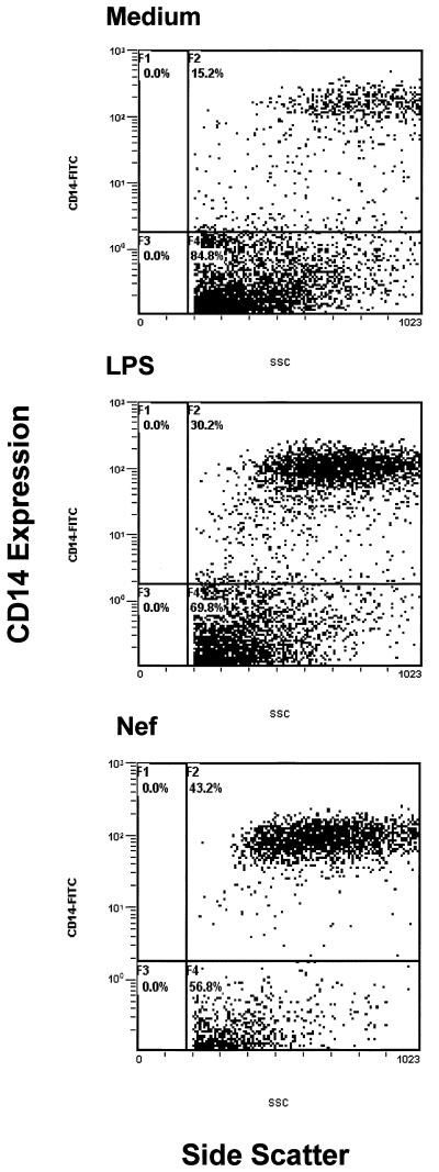 FIG. 4.