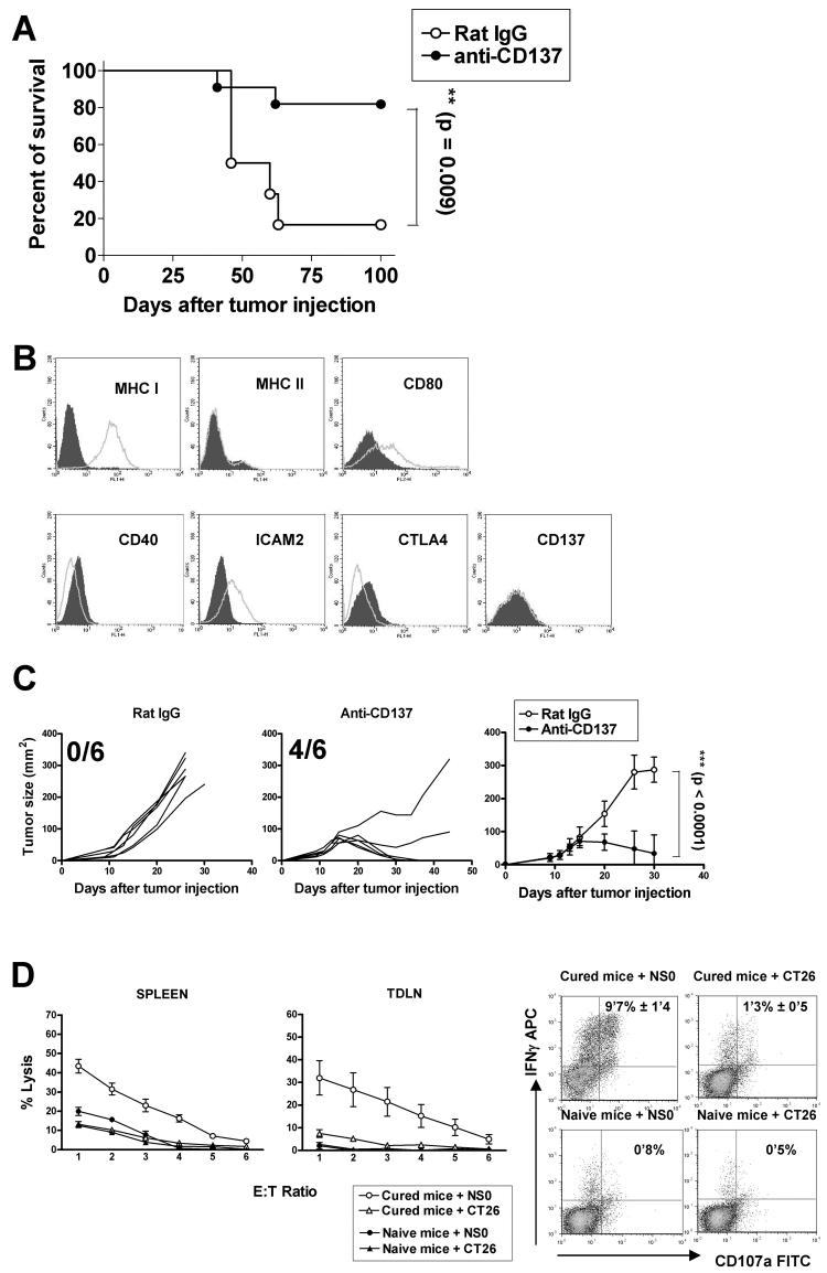 Fig.2