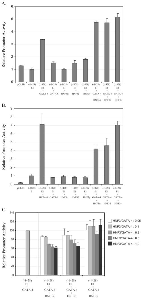 Fig. 10