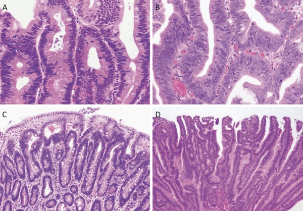 Figure 14.