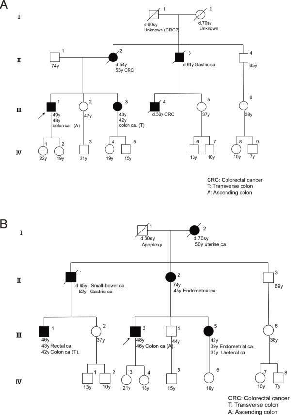 Figure 20.