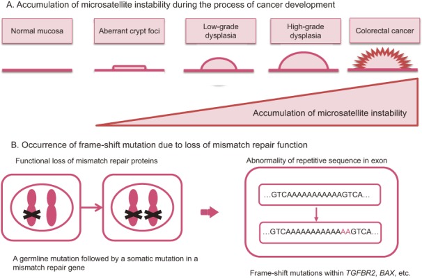 Figure 18.