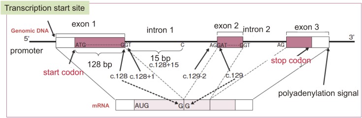 Appendix Figure 3.