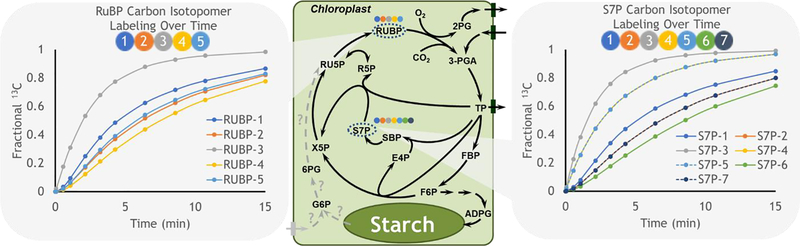 Fig. 4.