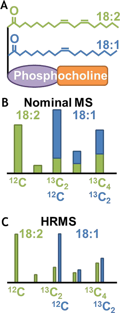 Fig. 2.