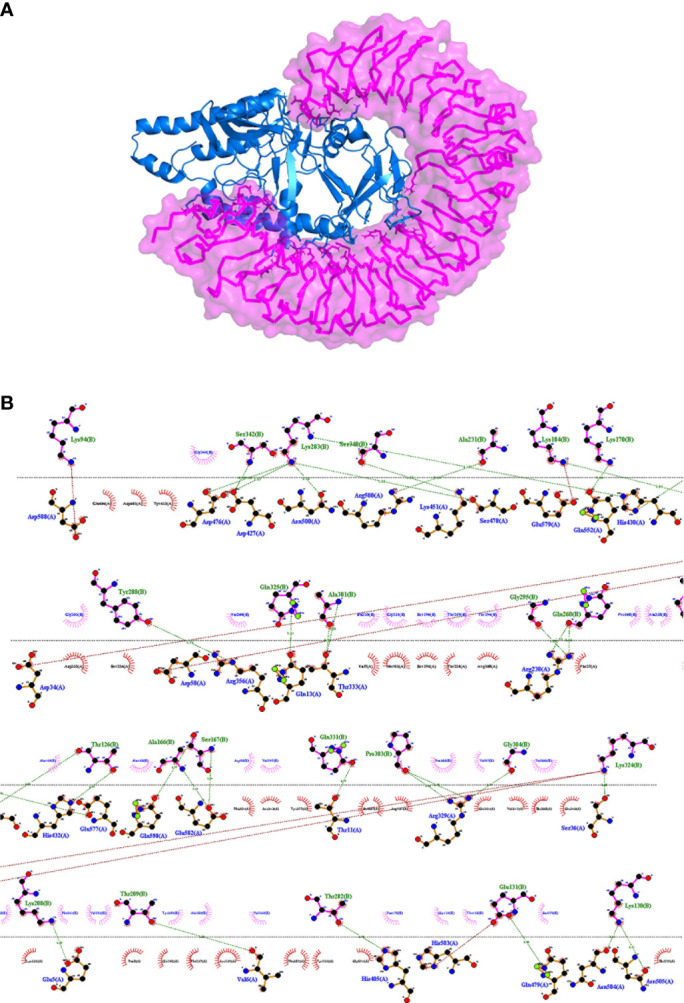 Figure 5