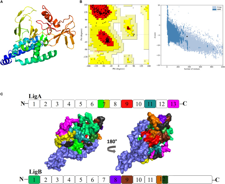 Figure 4